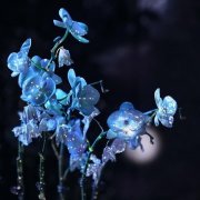 生成式AI图像越来越能“以假乱实